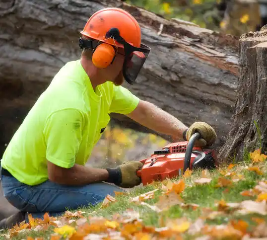 tree services State Line